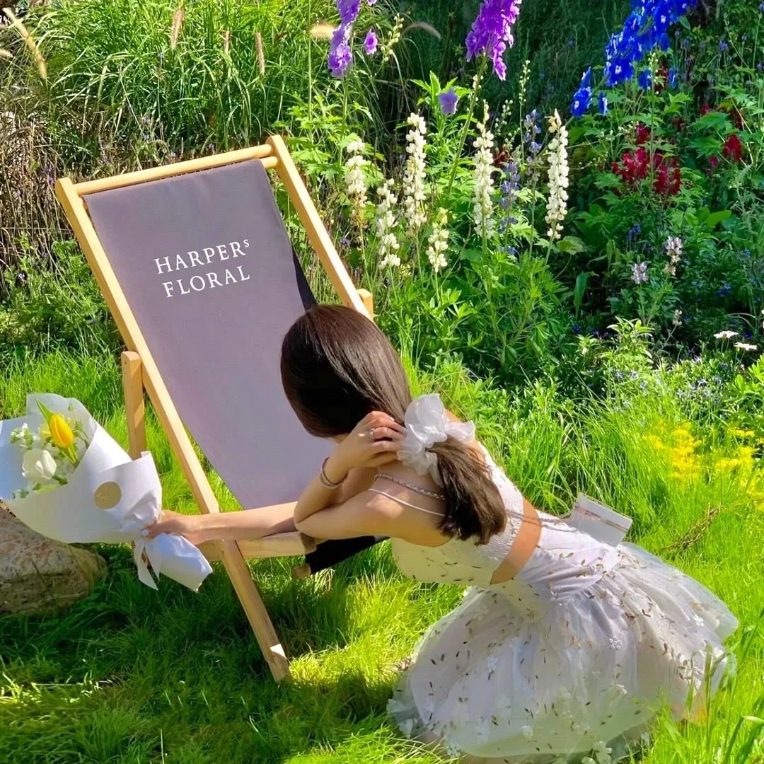 天降萌孙龙王放肆宠